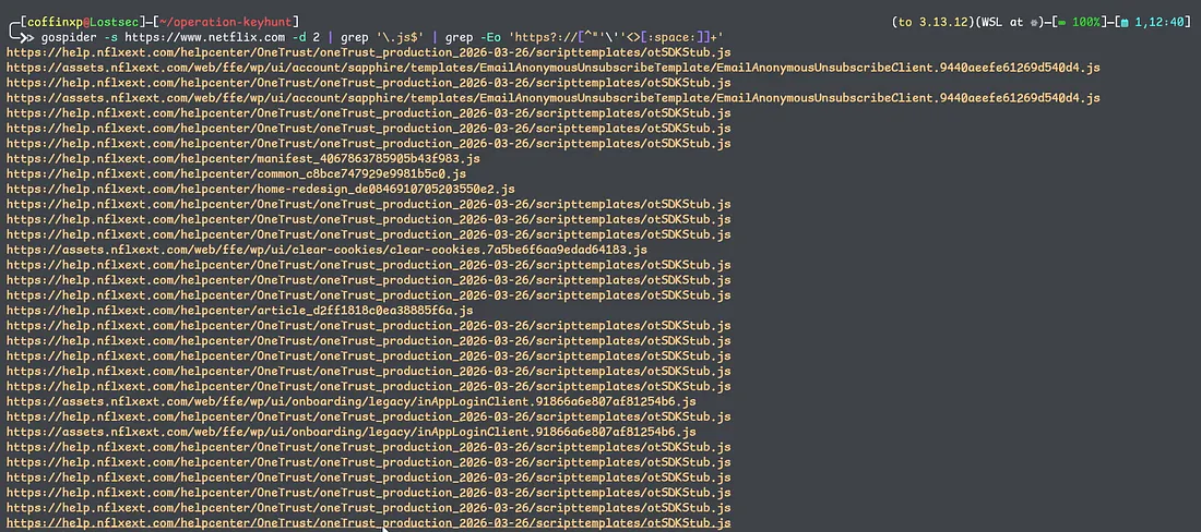GoSpider JS URL collection