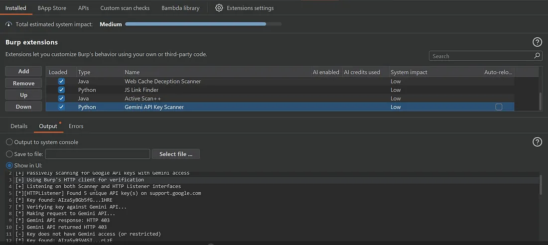 Burp extension validation