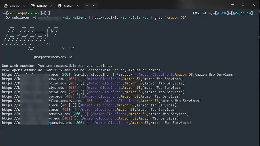 HTTPX S3 detection