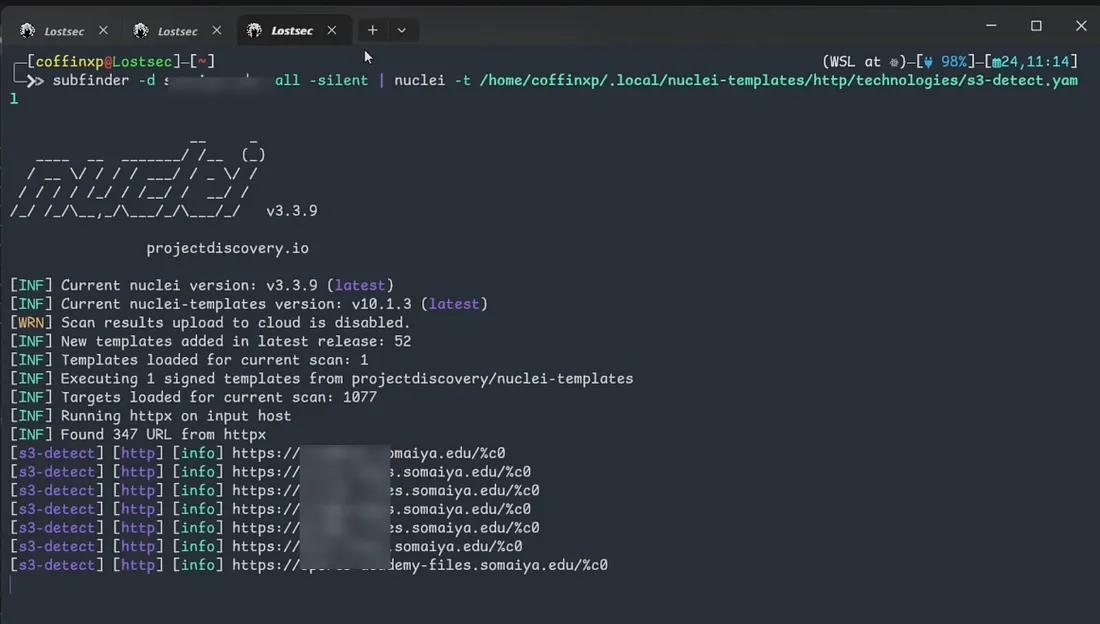 Nuclei S3 detection