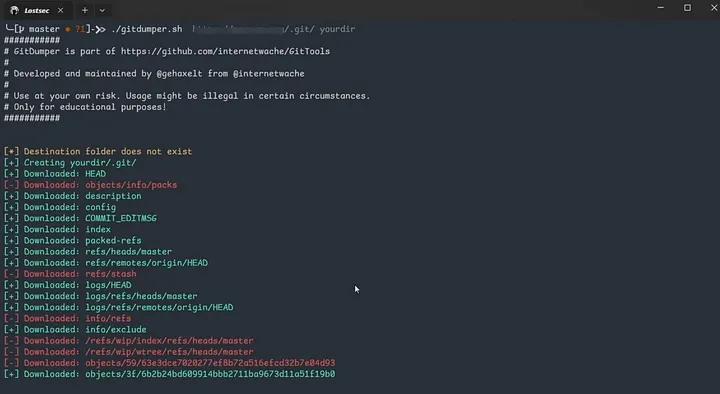 Git dumper results