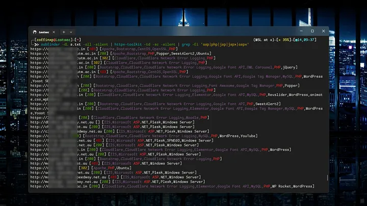 Subdomain recon results